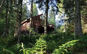 Glentress Forest Cabins - Forest Holidays